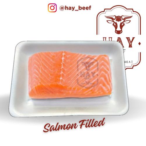 ikan salmon